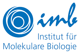 Institute of Molecular Biology gGmbH